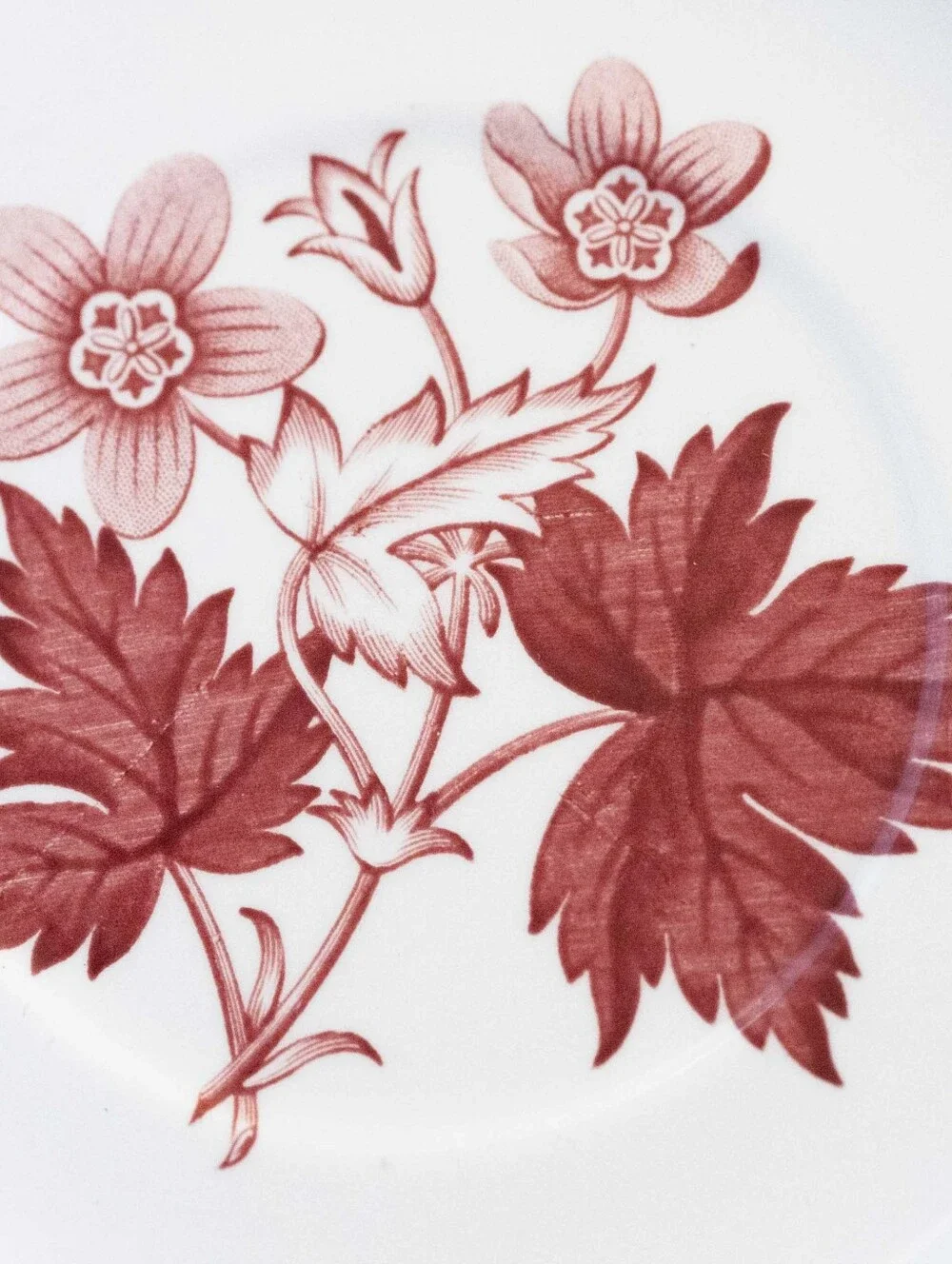 Spode Archive Collection Geranium Pattern. Jumbo Cup and Saucer. Vtg. England